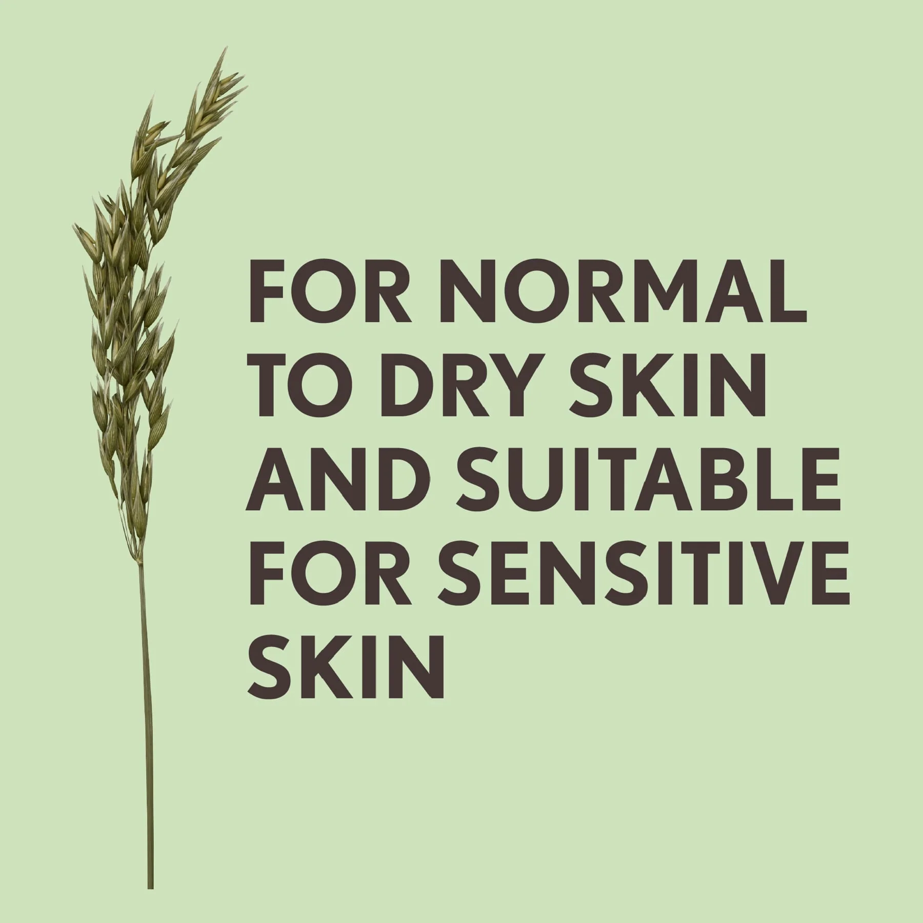 Aveeno Daily Moisturising Hand Cream 75ml - Image 3