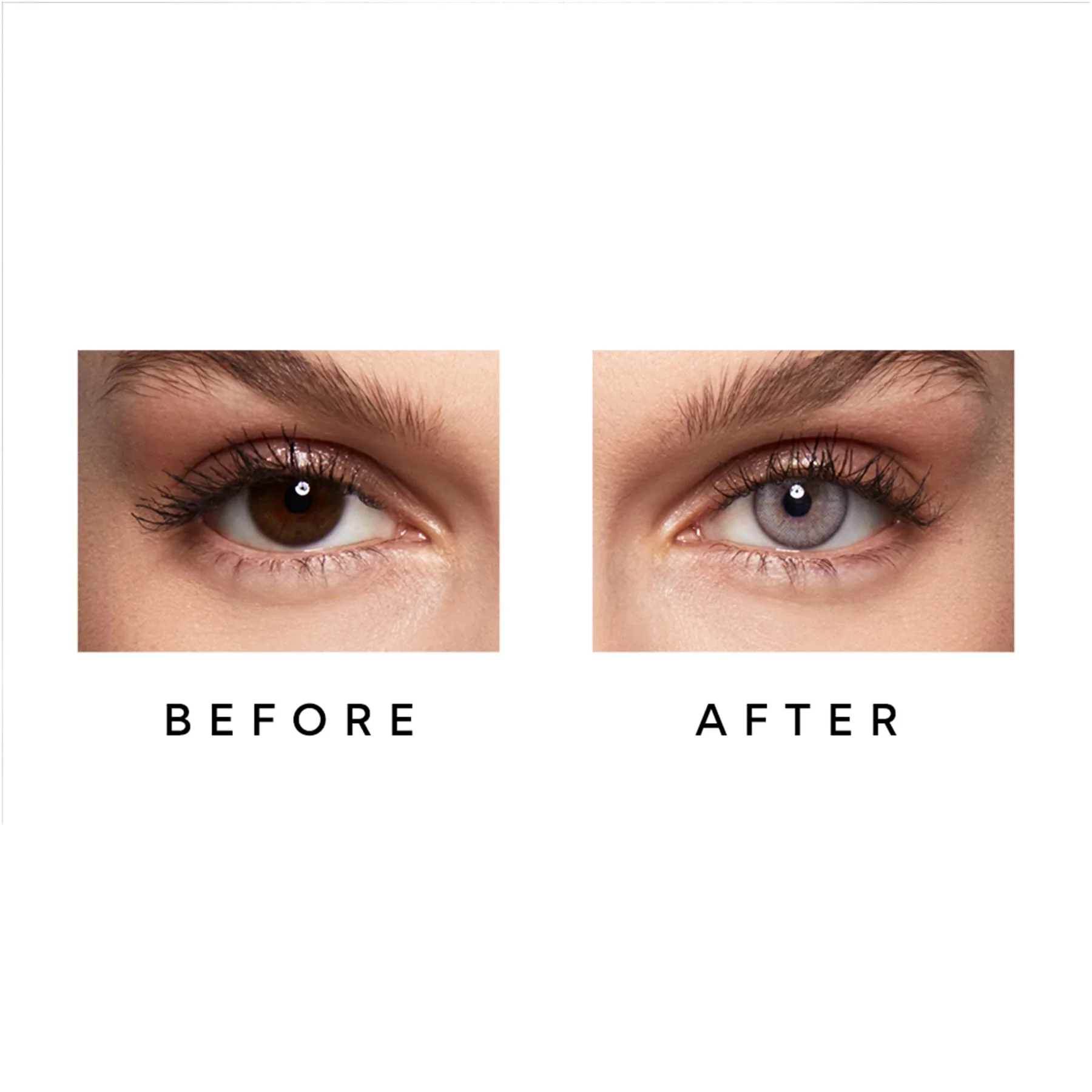 Swati Colour Contact Lenses 6 Months - Image 4