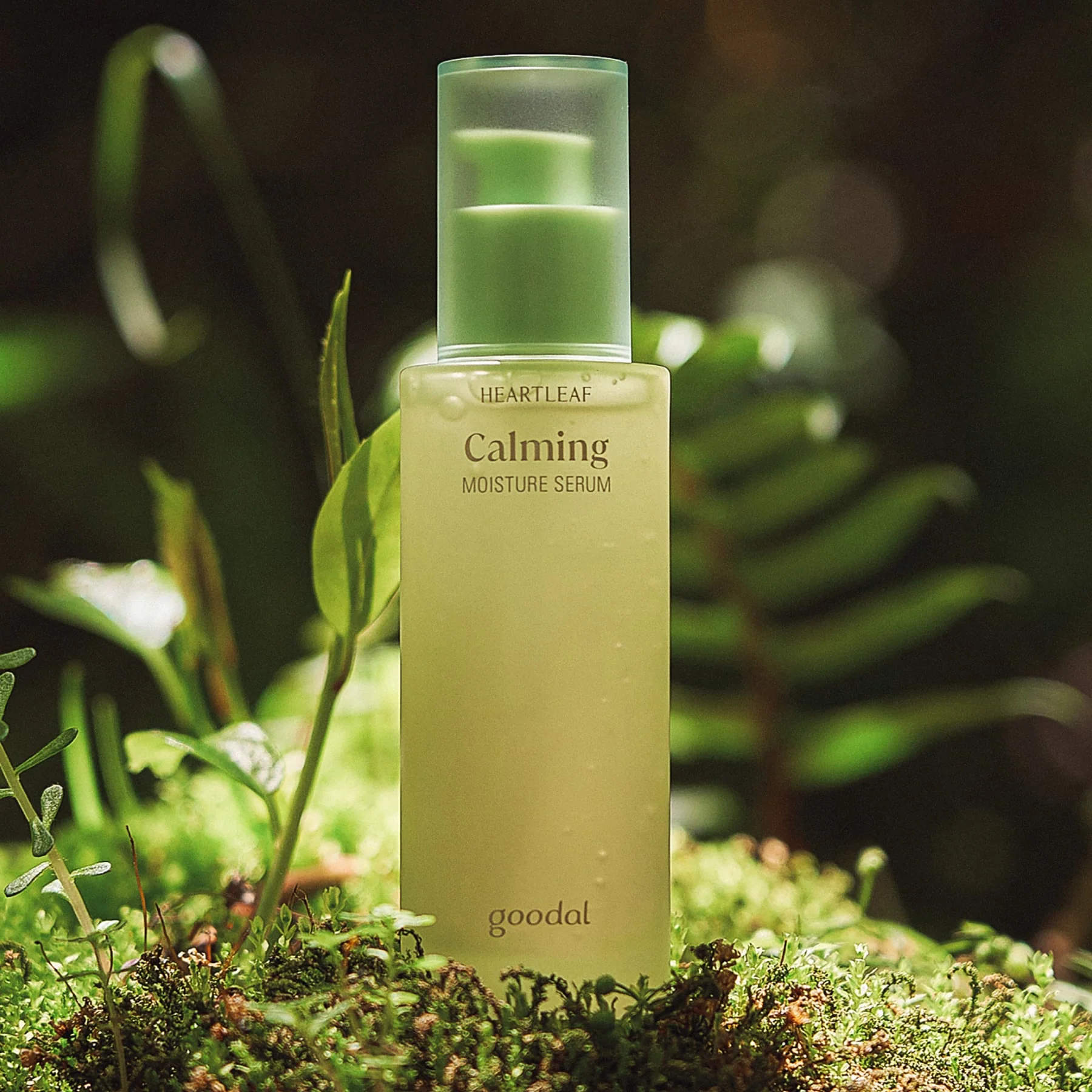 Goodal Houttuynia Cordata Calming Moisture Serum 50ml - Image 2