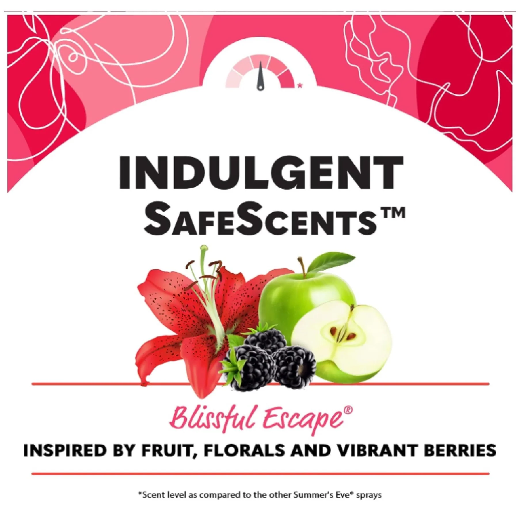 Summer's Eve Blissful Escape Cleansing - Image 2
